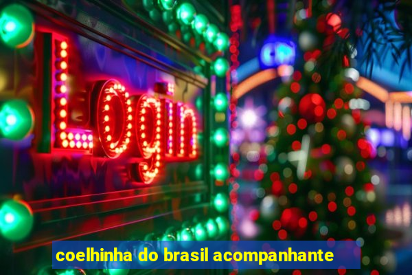 coelhinha do brasil acompanhante